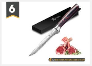 Boning Knife - PAUDIN Super Sharp Fillet Knife 6