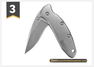 Kershaw Chive Pocket Knife, 1.9 Inch 420HC Steel Blade, Speedsafe Assisted Opening, Made in the USA